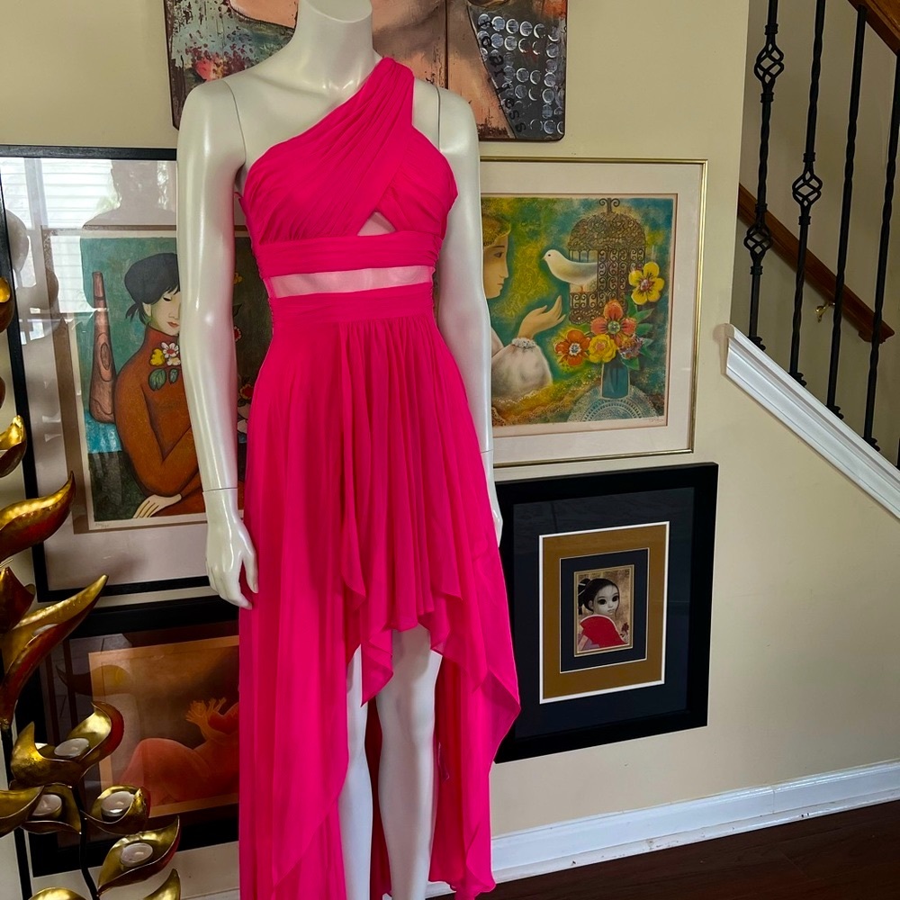 Pink Gown - Picture 4 of 6